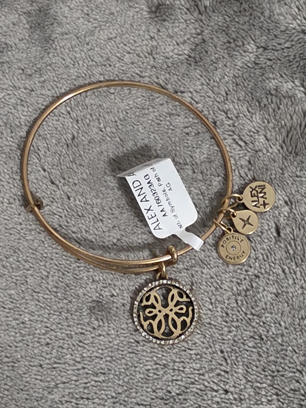 Alex and Ani Gold Path Of Life Medallion Expandable Bangle